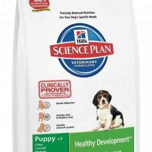 Hill's Science Plan Puppy Healthy Development Lamb & Rice 12 Kg