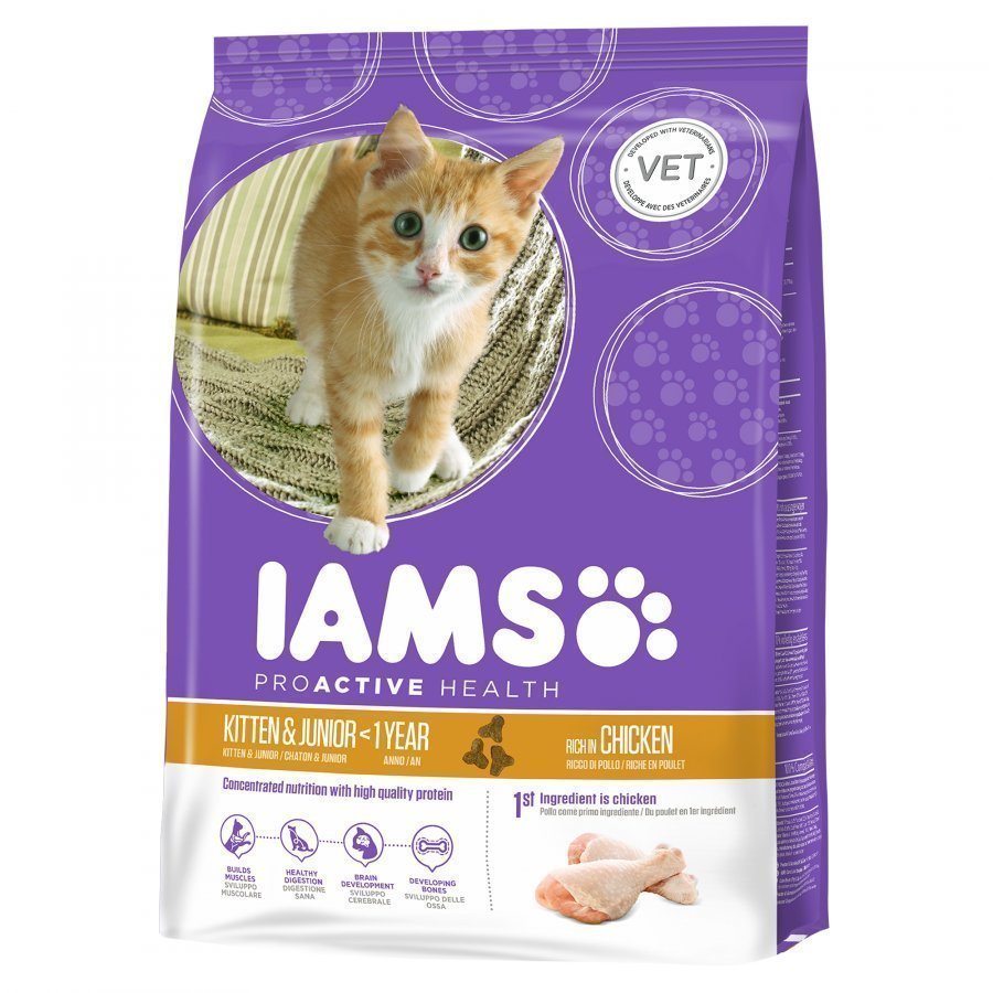 Iams Kitten & Junior 10 Kg