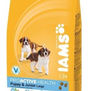 Iams Puppy & Junior Large 12kg