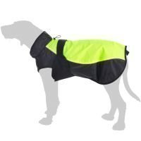 Illume Nite Neon -koirantakki - selän pituus noin 35 cm