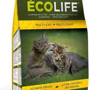 Intersand Ecolife Multicat 4