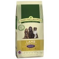 James Wellbeloved Senior Lamb & Rice - säästöpakkaus: 2 x 15 kg