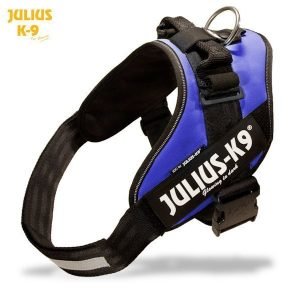 Julius K9 Idc Powerharness Sininen