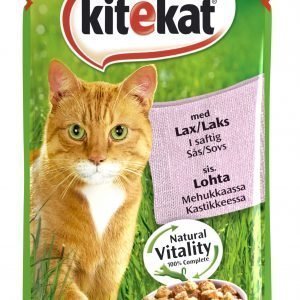 Kitekat Lohi Kastikkeessa 100 G Kissan Annospakkaus