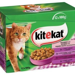 Kitekat Menybox Pidot Hyytelö 12x100 G