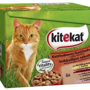 Kitekat Seikkailijan Sekoitus 24 X 100 G Kissanruoka