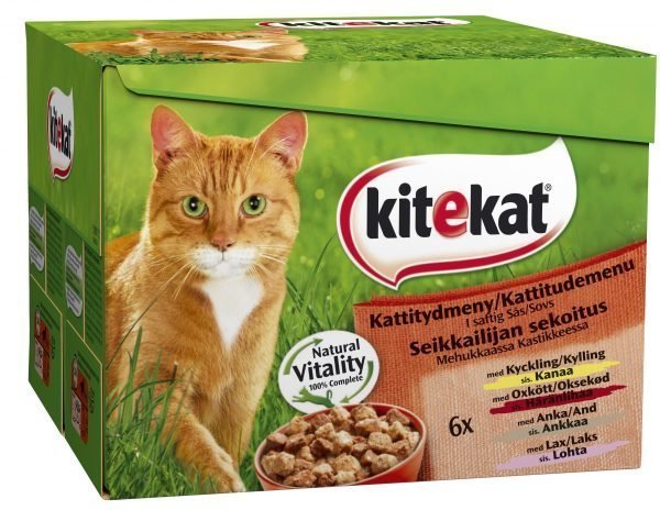 Kitekat Seikkailijan Sekoitus 24 X 100 G Kissanruoka