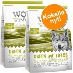 Kokeile nyt: 2 x 1 kg Wolf of Wilderness -kuivaruokaa - Green Fields - lammas