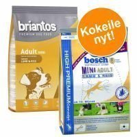 Kokeilupakkaus: Briantos & Bosch Adult Mini Lamb & Rice 2x3kg - Lamb & Rice