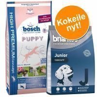 Kokeilupakkaus koiranpennuille: Briantos 3 kg & Bosch 7