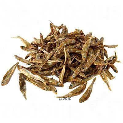 Kuivakala (Rastrineobola argentea) - 1500 g