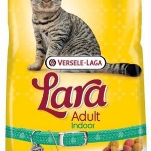 Lara Adult Indoor 2 Kg