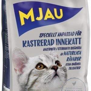 Mjau Kastrerad Innekatt 1