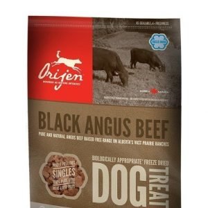 Orijen Dog Treats Black Angus Beef 56