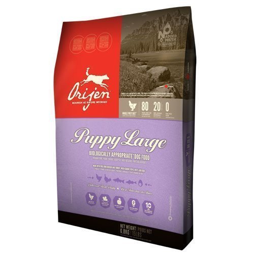 Orijen Puppy Large Breed 13 Kg