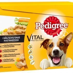 Pedigree 12 X 100 G Kastikelajitelma