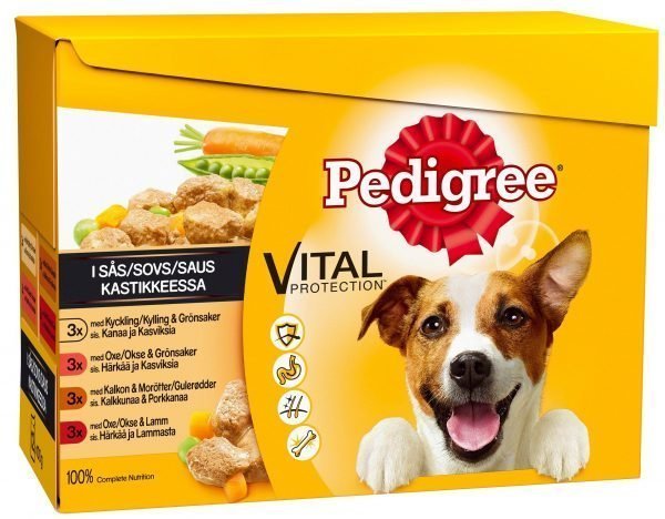 Pedigree 12 X 100 G Kastikelajitelma