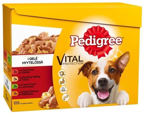 Pedigree Adult 12 X 100 G Hyytelölajitelma