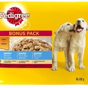 Pedigree Junior 4 X 100 G Hyytelölajitelma