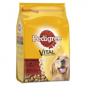 Pedigree Koiranruoka 3kg Adult Häränl-Siipikarja