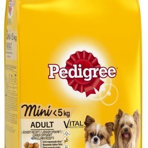 Pedigree Mini Kanaa 1