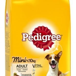 Pedigree Mini Kanaa Ja Kasviksia 2 Kg Koiran Kuivaruoka