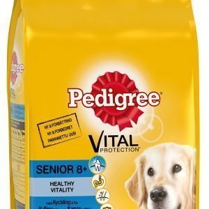 Pedigree Senior Kanaa 2