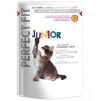 Perfect Fit Junior - säästöpakkaus: 24 x 85 g