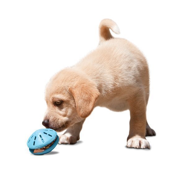 Petsafe Busybuddy Puppy Twist´N Treat