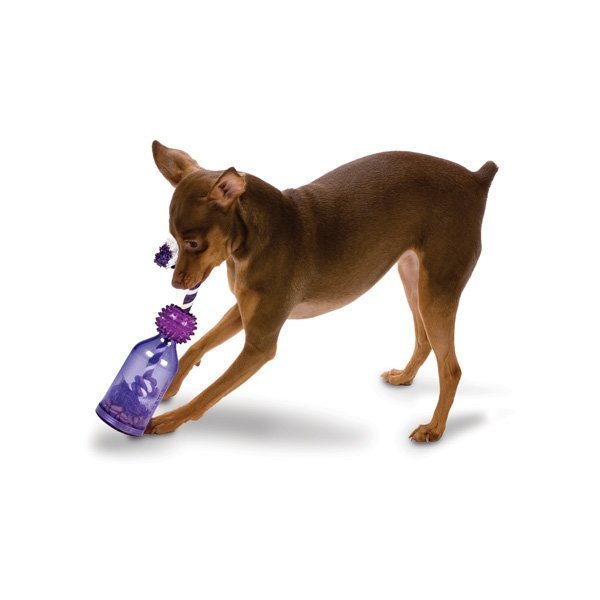 Petsafe Busybuddy Tug-A-Jug