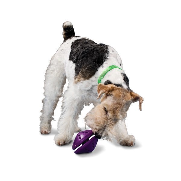 Petsafe Busybuddy Twist´N Treat