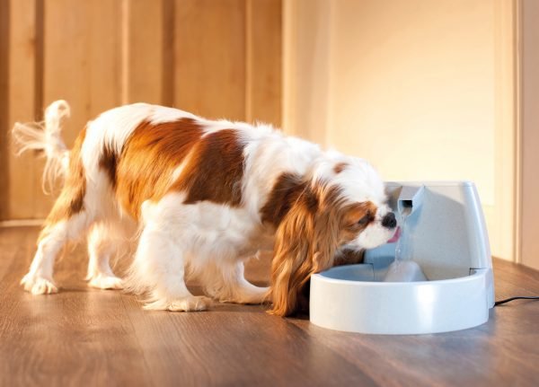 Petsafe Drinkwell Original Pet Fountain Juoma-Automaatti