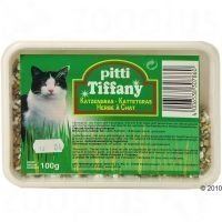 Pitti-kissanruoho rasiassa - säästöpakkaus: 3 x 100 g