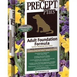Precept Plus Canine Adult Foundation 12 Kg