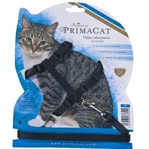 Premium Primacat Kissan Valjas-Talutinsetti
