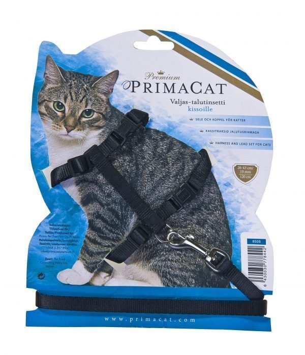 Premium Primacat Kissan Valjas-Talutinsetti