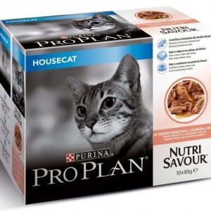 Pro Plan Cat Housecat Salmon Multipack