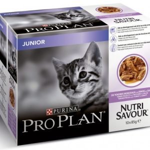 Pro Plan Cat Junior Turkey Multipack