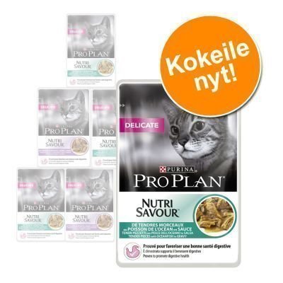 Pro Plan -kokeilupakkaus 6 x 85 g