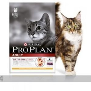 Proplan Kissanruoka Pro Plan Adult Cat Kana & Riisi 1