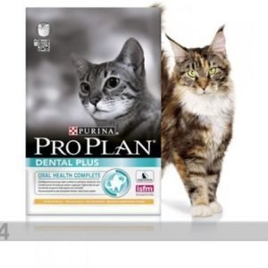 Proplan Kissanruoka Pro Plan Adult Dental Plus Kana & Riisi 1