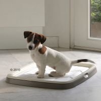 Puppy Trainer -aloituspakkaus - Säästöpakkaus: XL