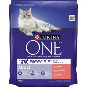 Purina Kissanruoka 800g Adult Lohi/Kokojyvävilja