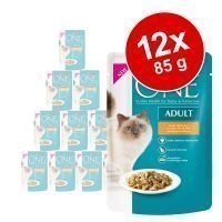 Purina One Adult 12 x 85 g - Indoor Formula