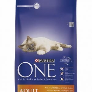 Purina One Adult 1