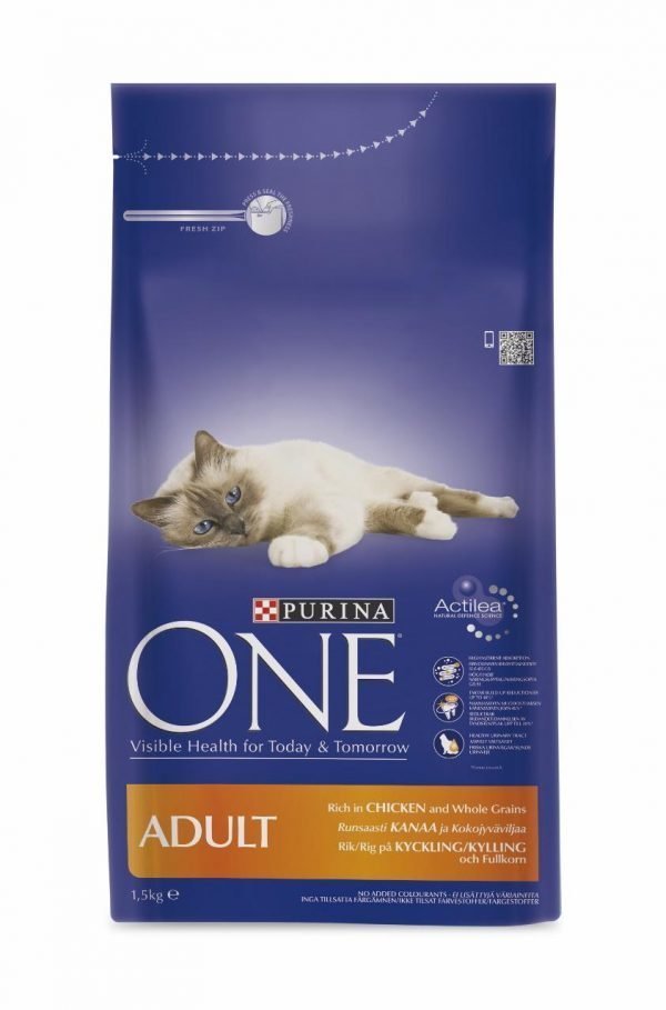 Purina One Adult 1