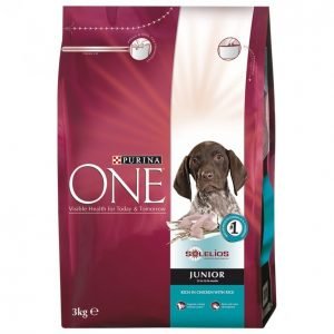 Purina One Koiranruoka 3kg Junior