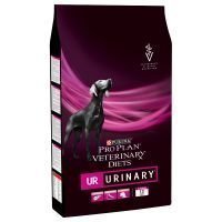 Purina Veterinary Diets - UR - säästöpakkaus: 2 x 12 kg
