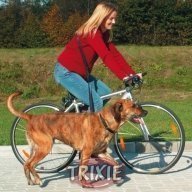 Pyöräily- ja juoksutalutin koiralle