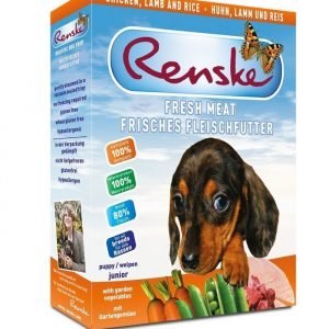 Renske Valp Kyckling Lamm & Ris 10x395 Gram